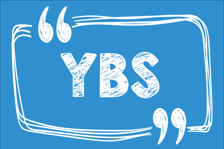 Yönetim Bilişim Sistemleri Siberci